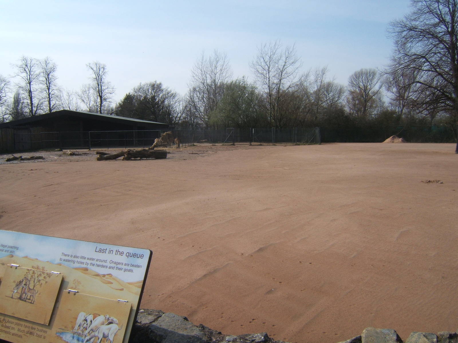 Re-furbed Onager and Bactrian camel Paddock
