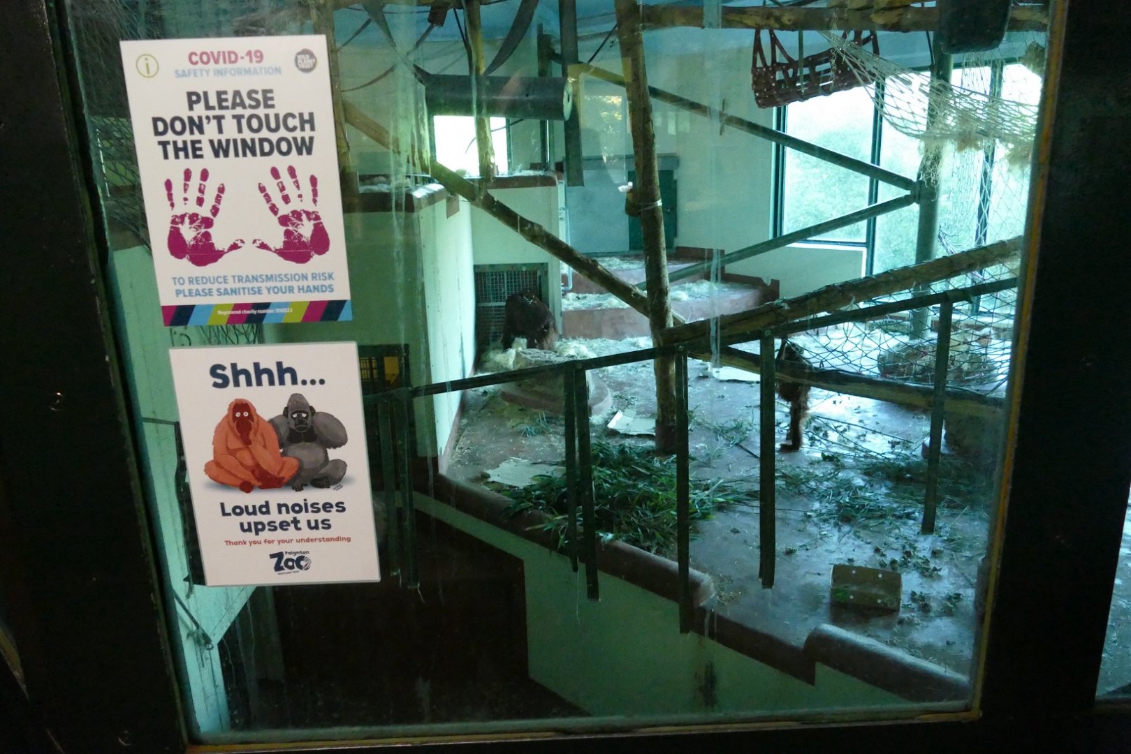 Re-opened Ape House, October 2020.