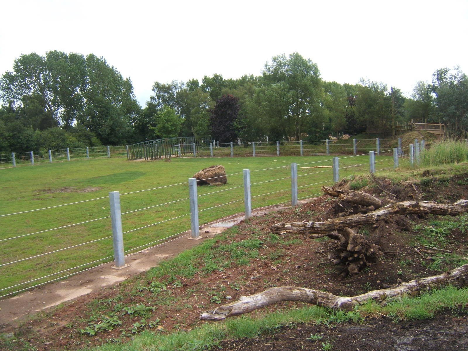 Re-styled Elephant grass paddock