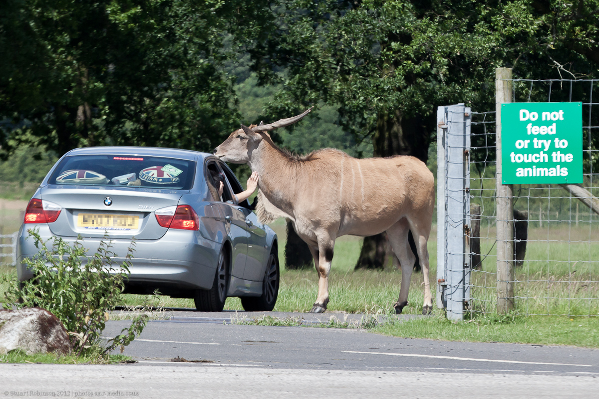 Read The Sign - 30/06/2012