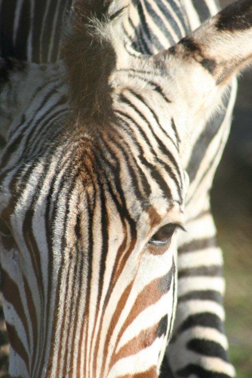 Ready for my close up?