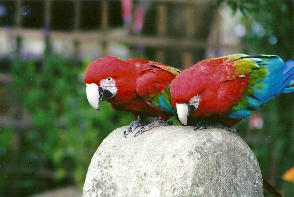 Ready for take-off 3rd August 2012