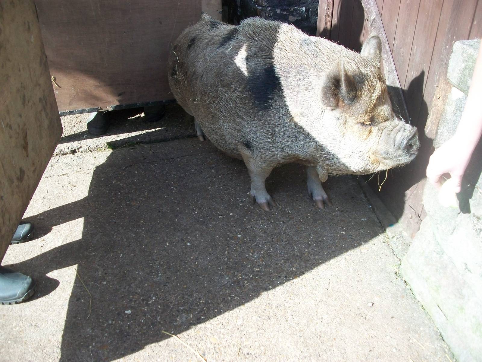 Ready for the needle, 30th August 2014