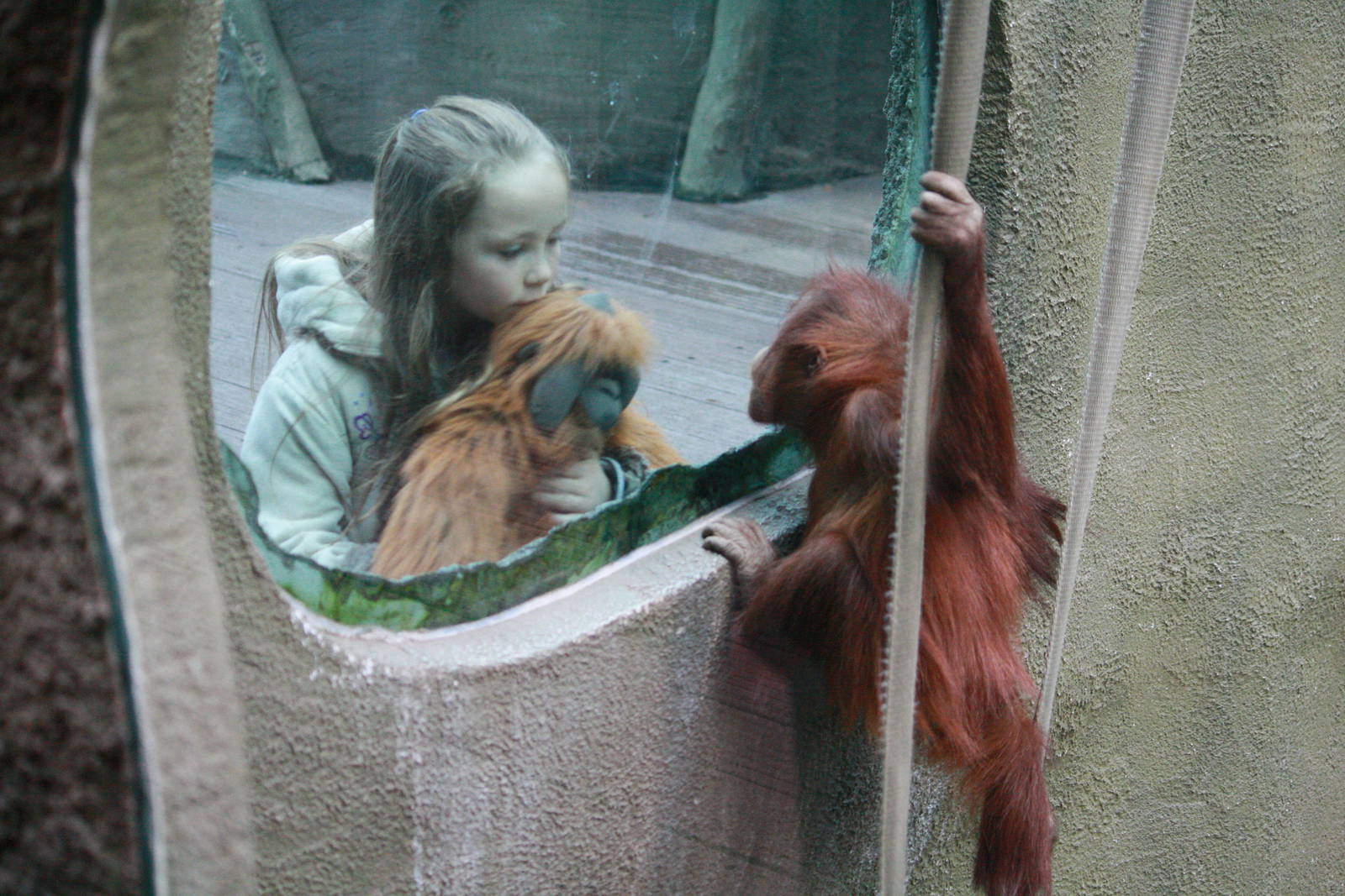 Real and pretend orangs - 20 November 2010