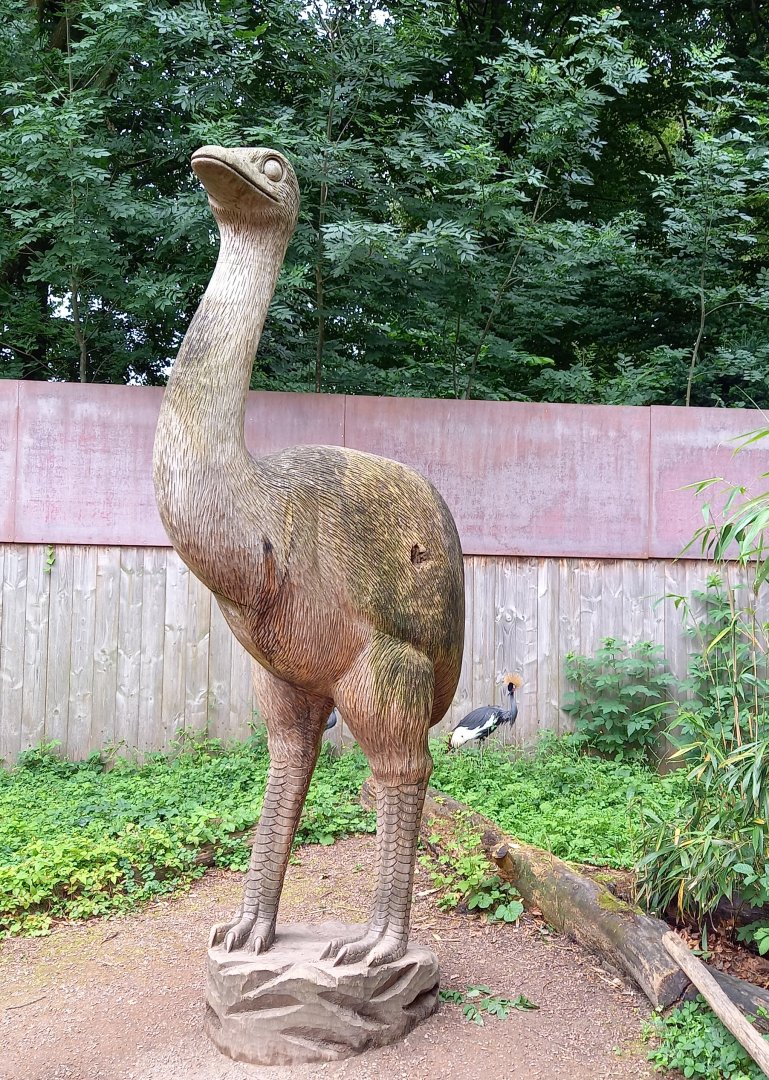Real-life sized statue Elephant bird