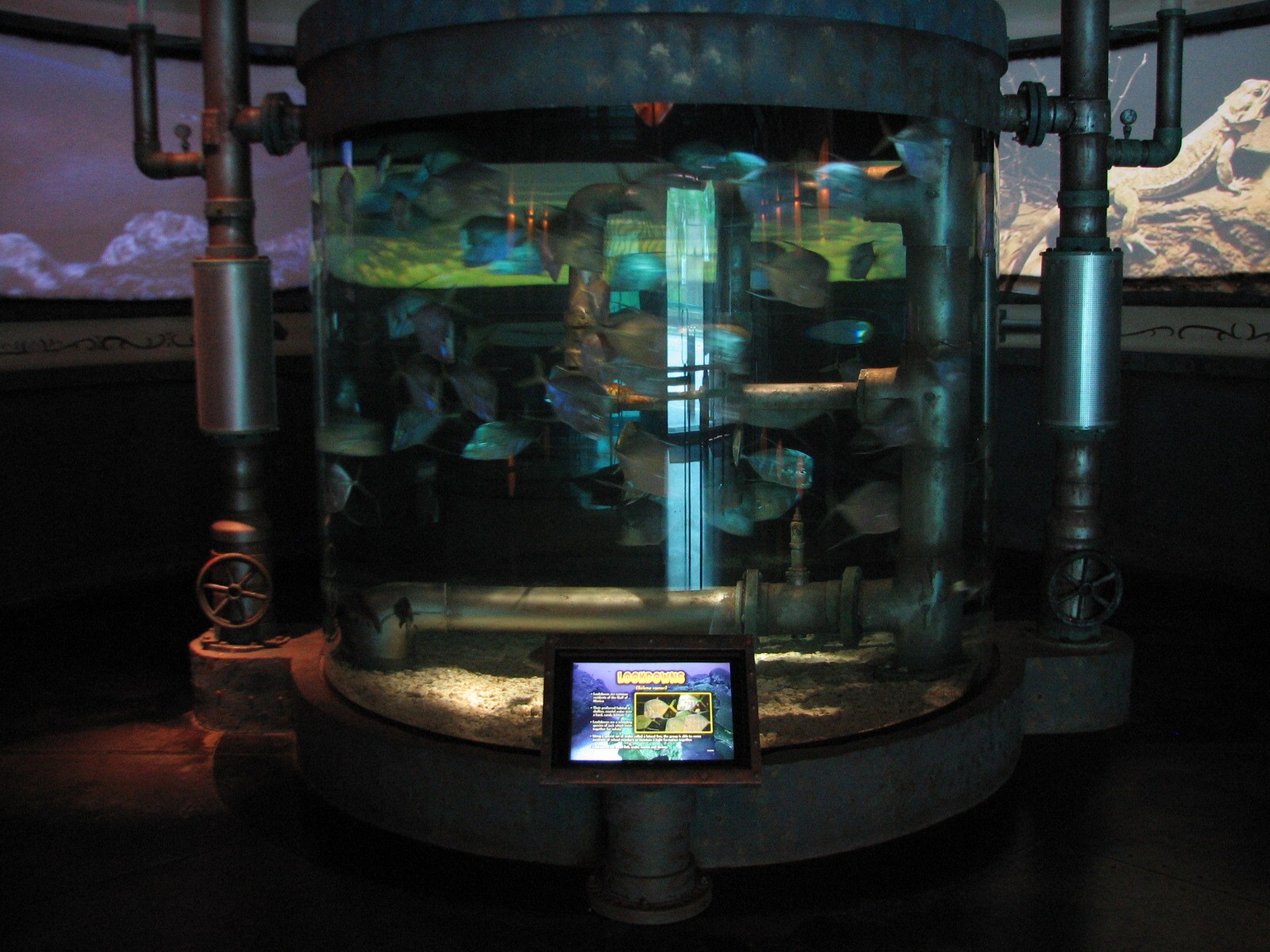 Real to Reel - Lookdown Exhibit