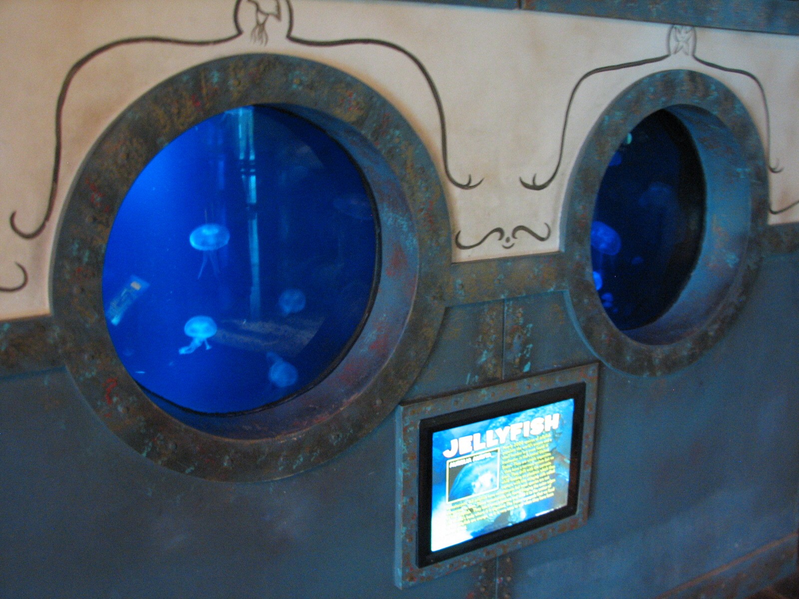 Real to Reel - Moon Jelly Exhibits