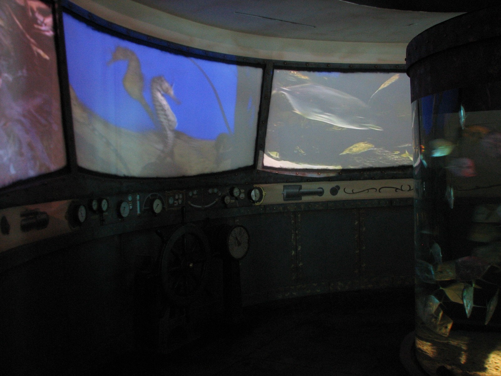 Real to Reel - Projection Wall