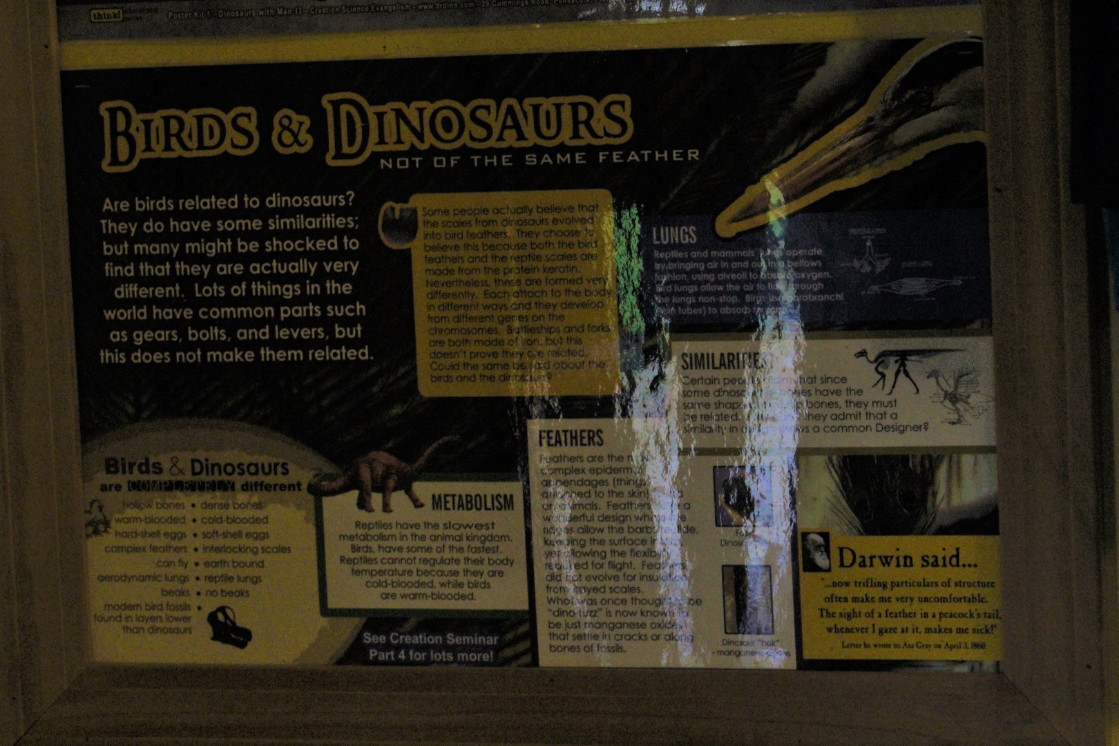Really Bizarre Anti-Evolution(?) Dinosaur vs Bird Poster