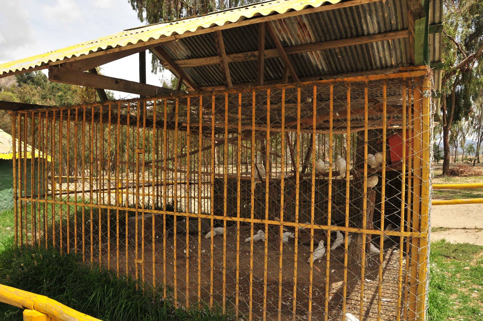 Really old pigeon aviary