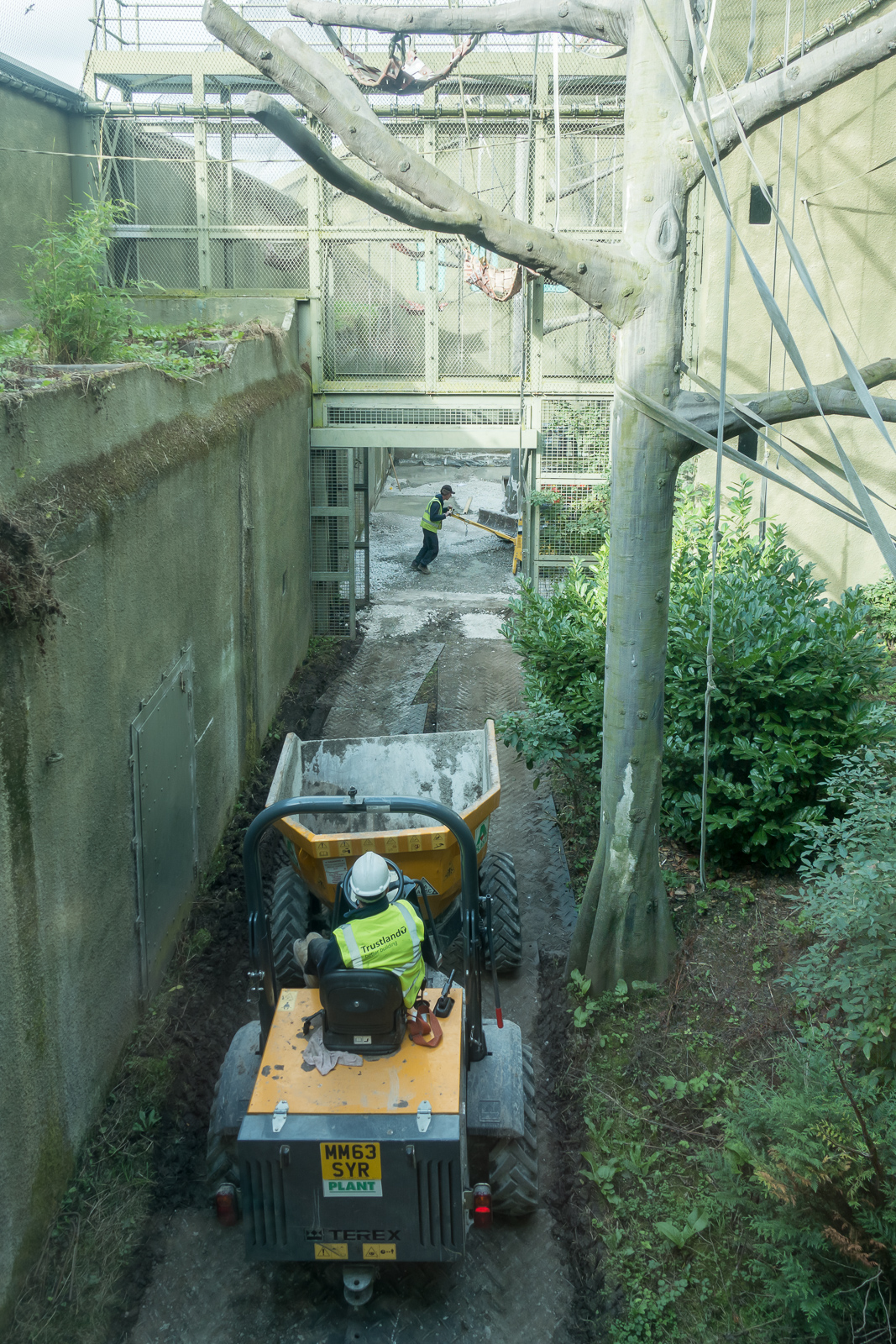 Realm of the Red Ape - 13/10/2016