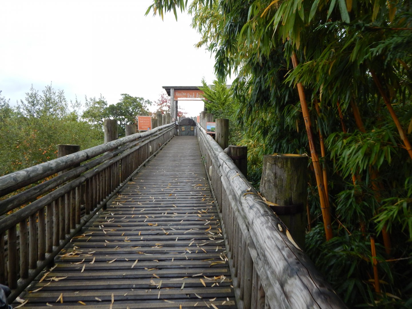 Realm of the Red Ape 191021