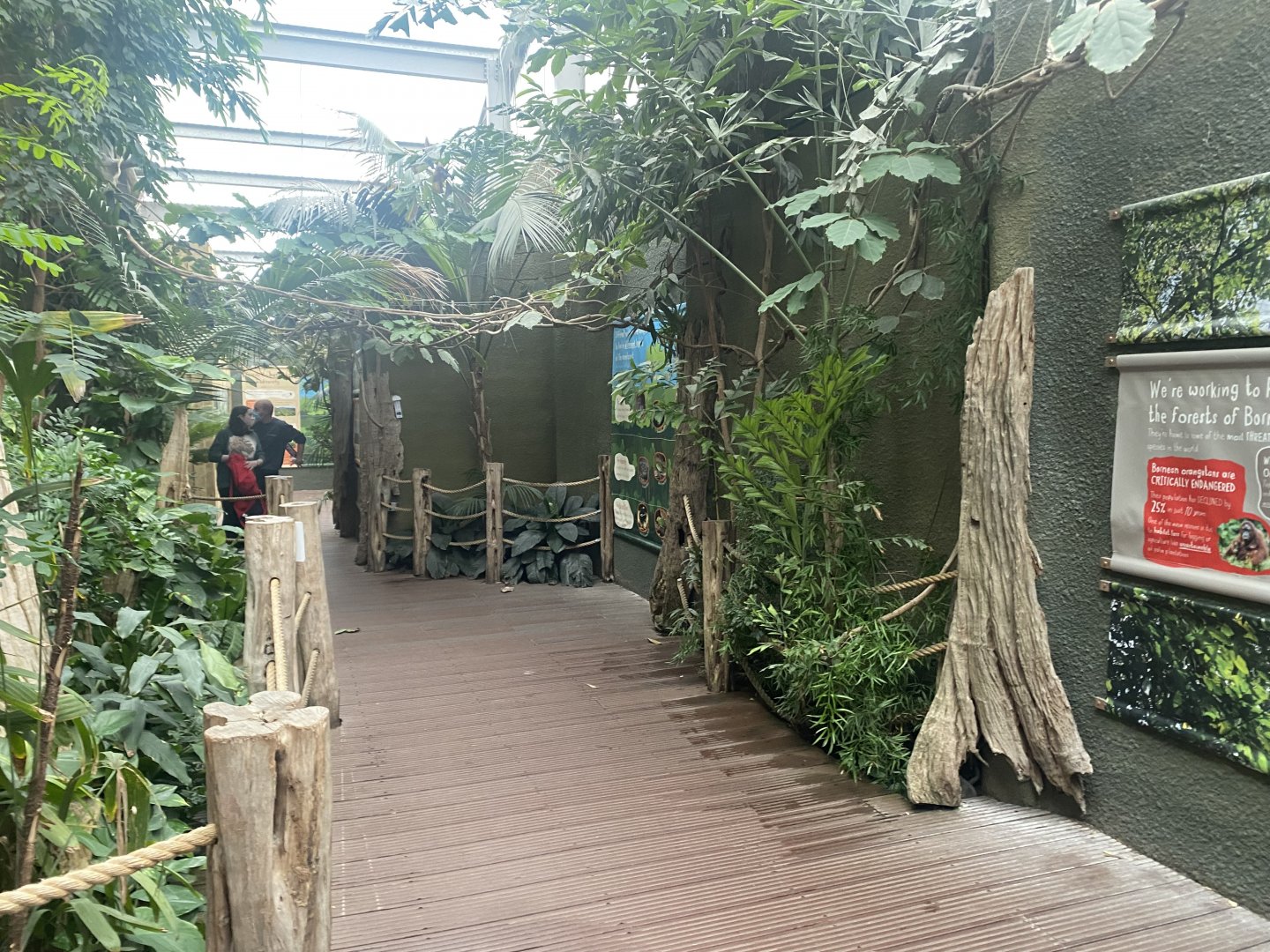 Realm of the Red Ape 191021