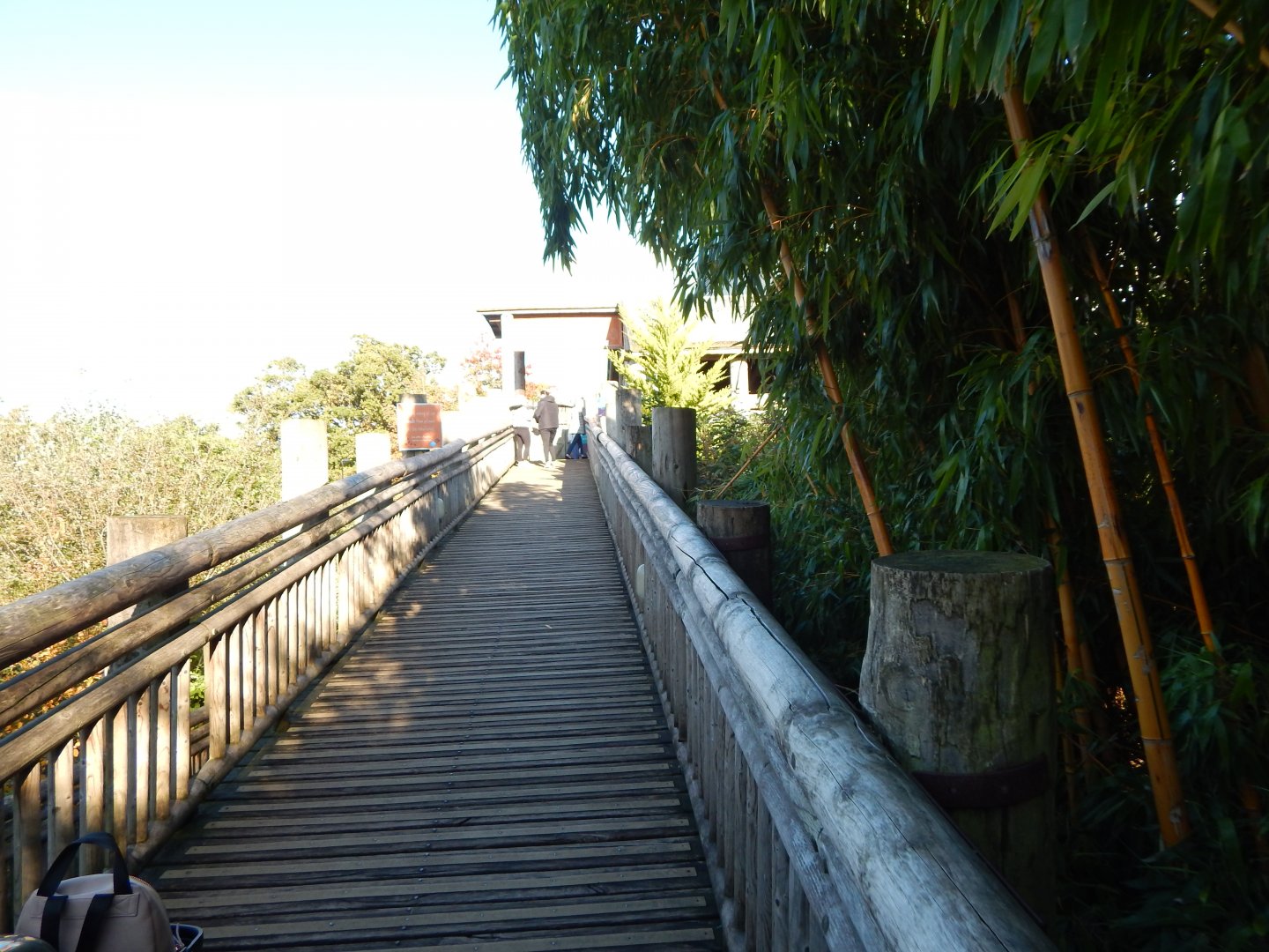 Realm of the Red Ape - entrance ramp 081020