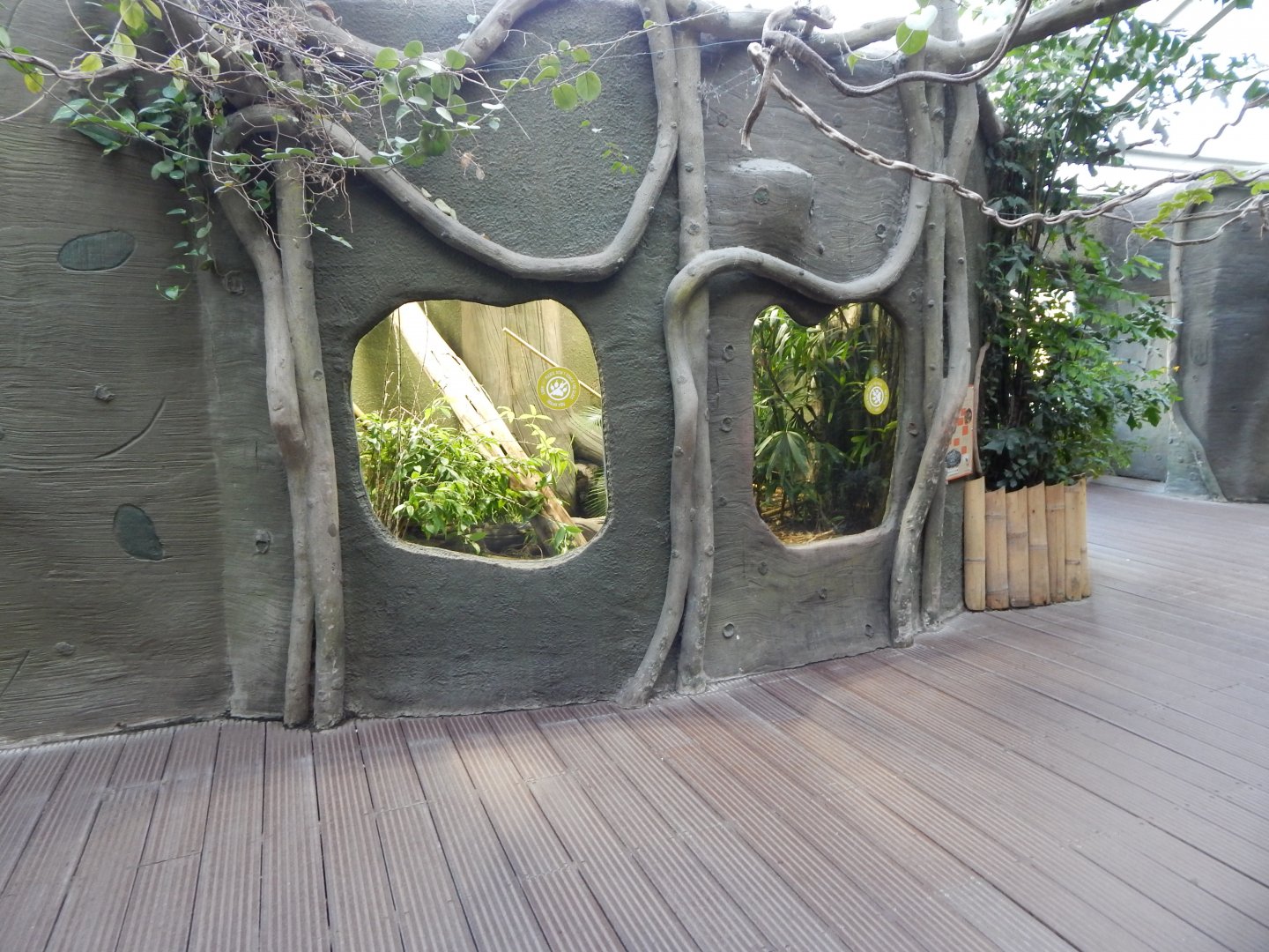 Realm of the Red Ape - indoor exhibit 081020