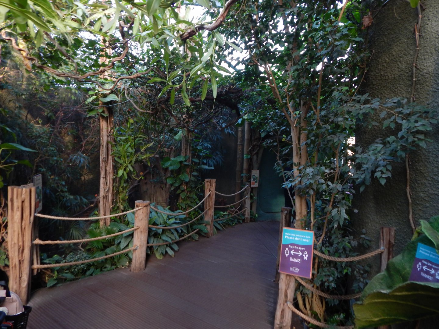 Realm of the Red Ape - indoors 081020