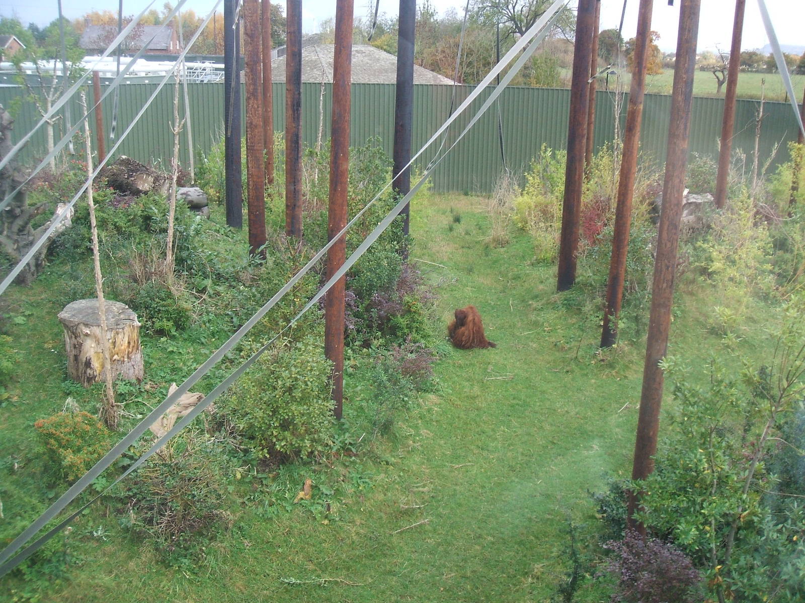 Realm of the Red Ape Outdoor Area