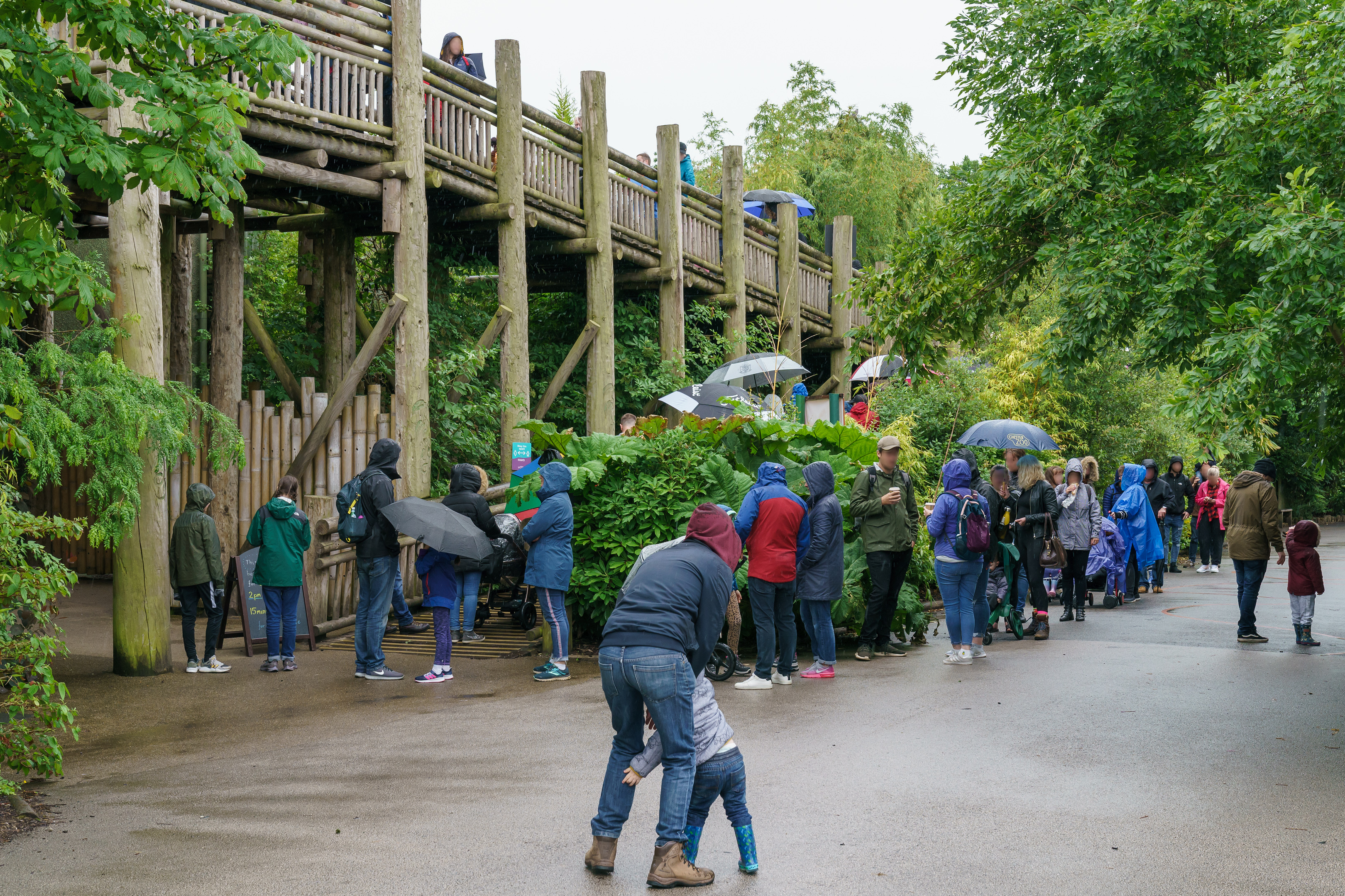 Realm of the Red Ape Queue - 07/07/2020
