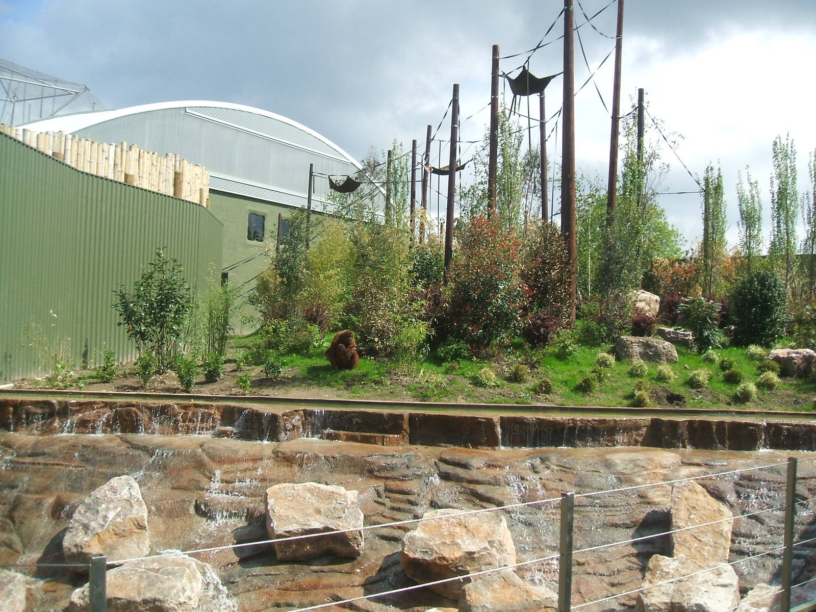 Realm of the Red Ape