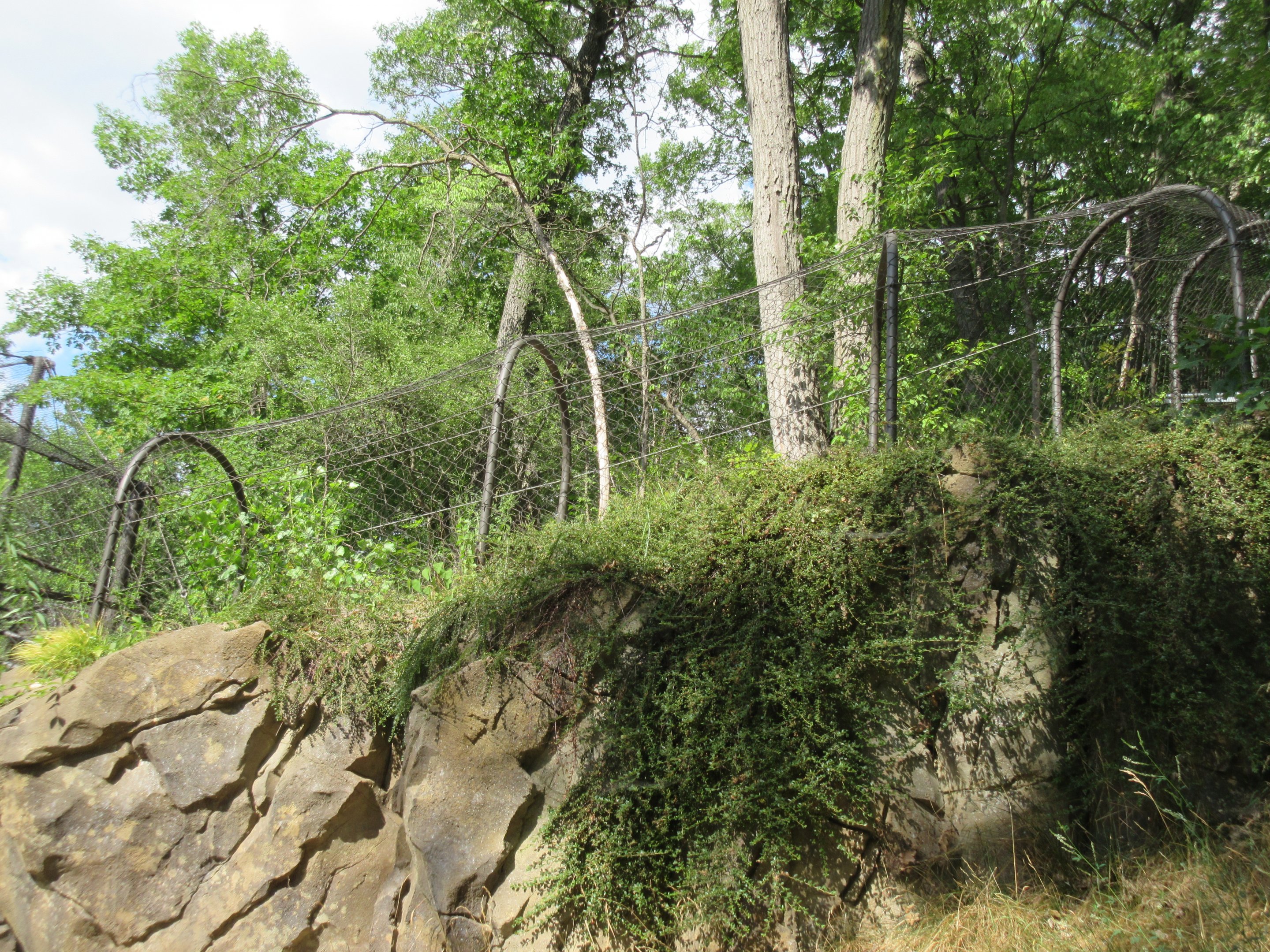 Realm of the Tiger - Connecting Tunnel