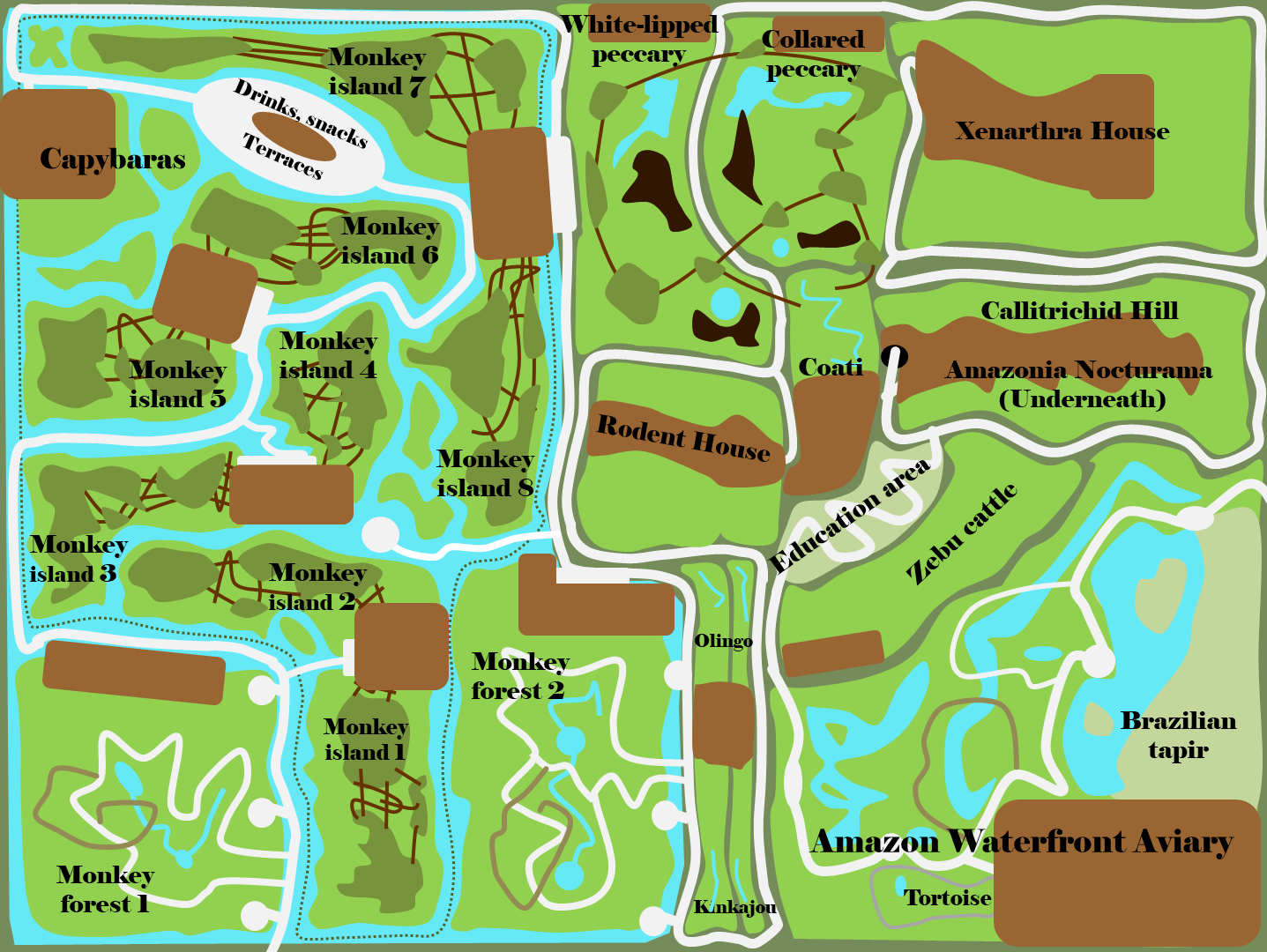 Realms of the Amazon - Part 2 - The Realm of the Capybara and the Saki