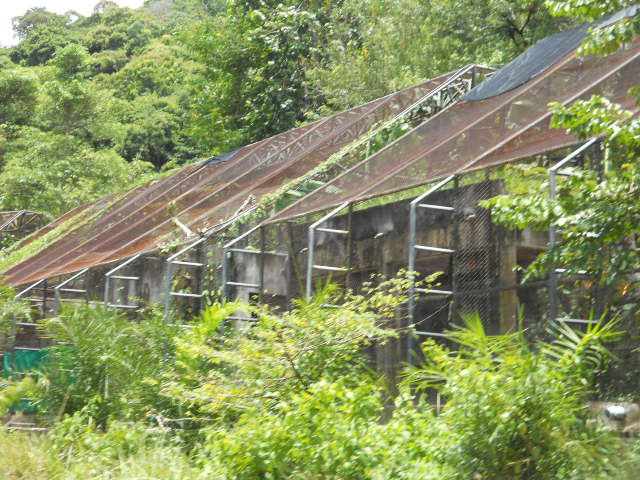 Rear od dog row enclosures