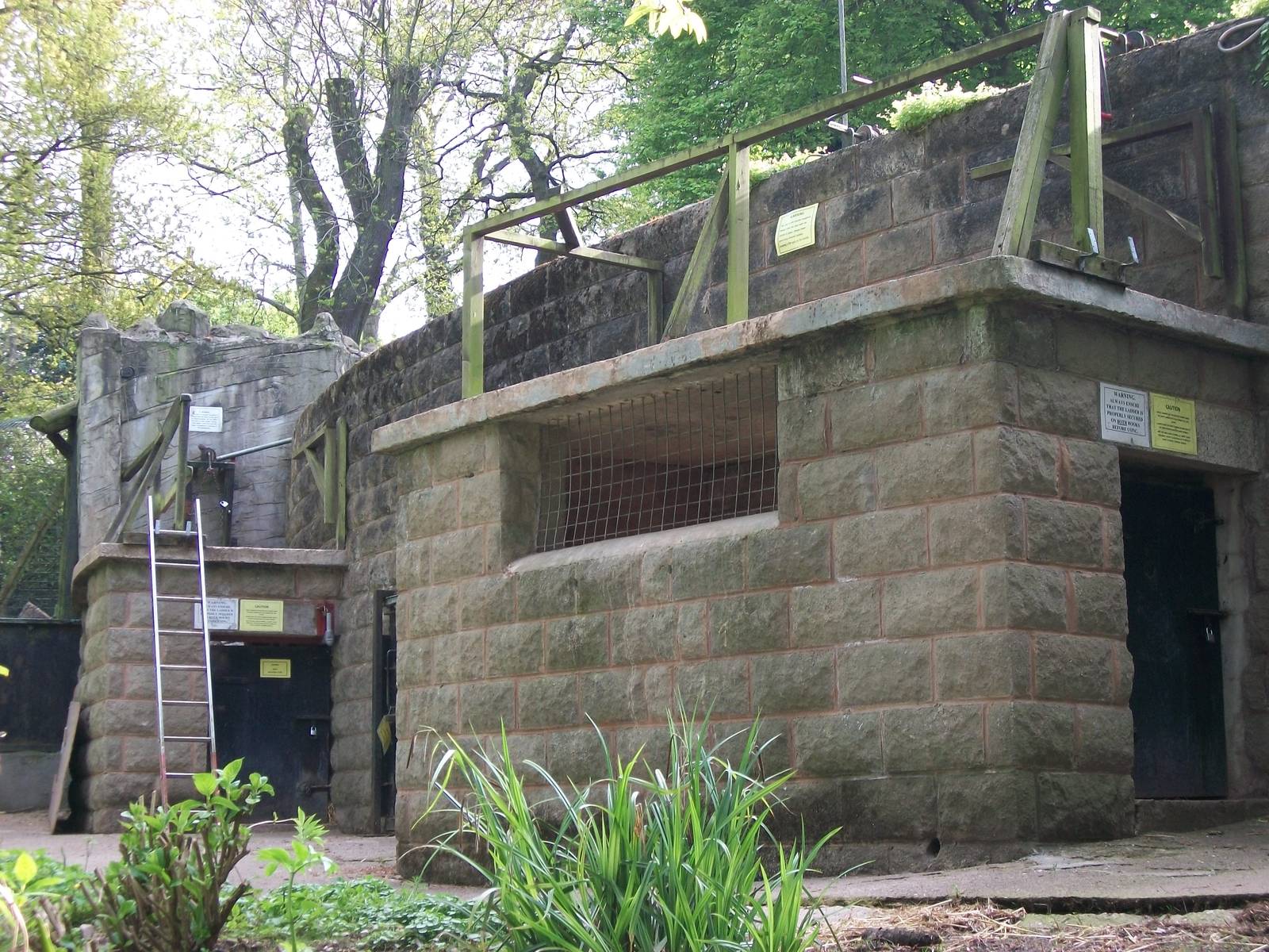 Rear of Bear dens/old pits 19th May 2013