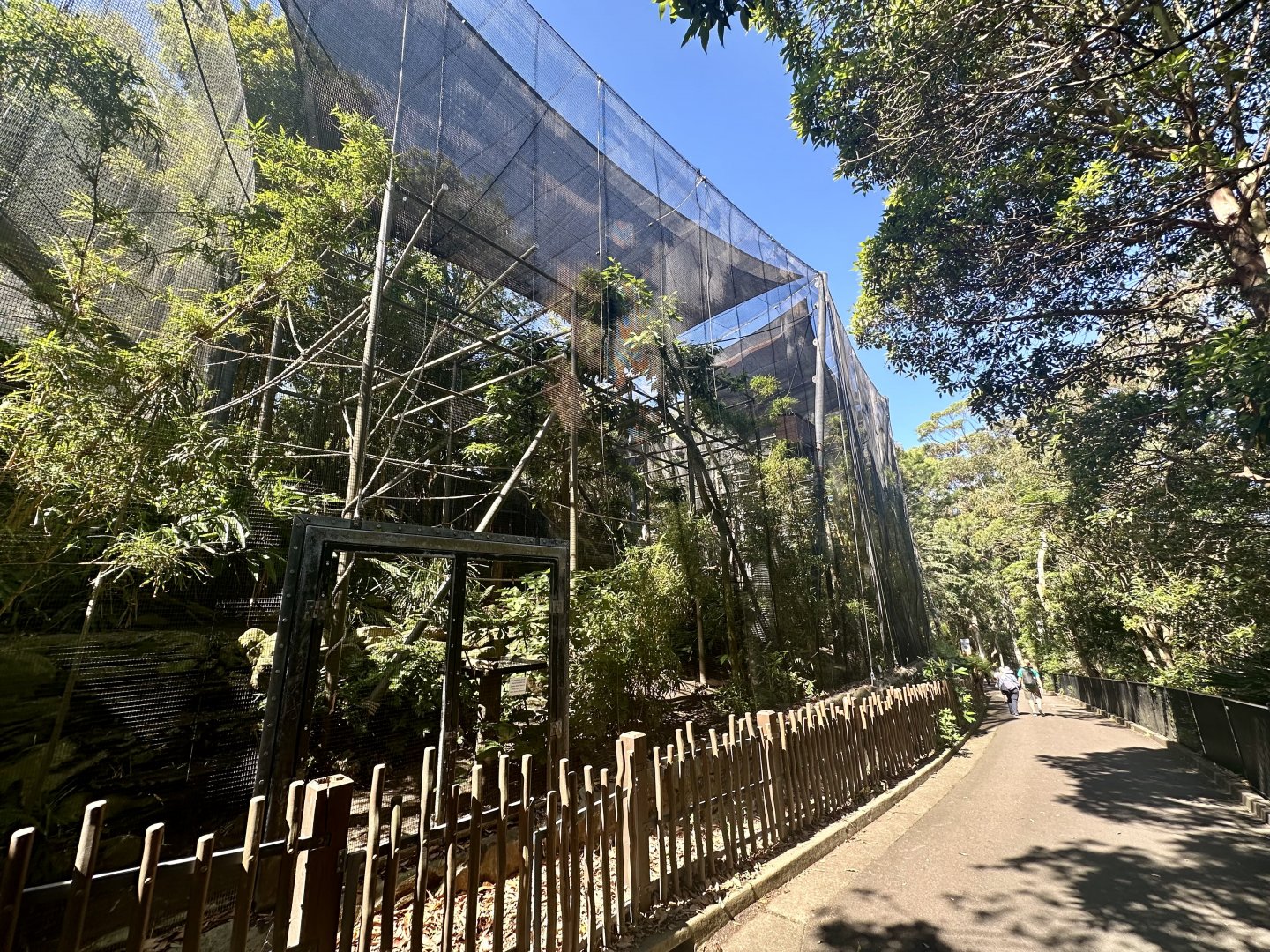 Rear of Bolivian Squirrel Monkey Exhibit