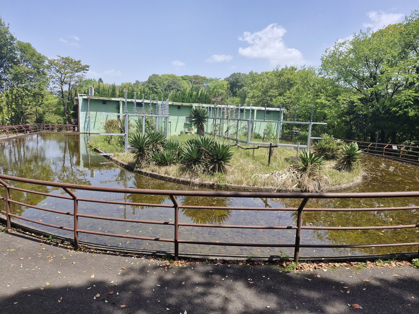 Rear of lemur complex