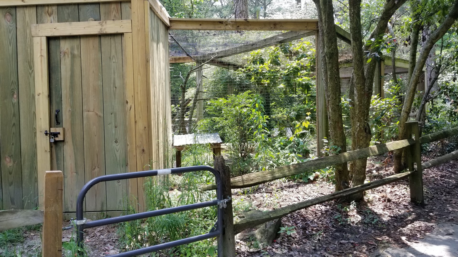 Rear of owl enclosure