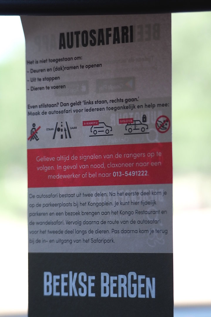 Rear-view mirror hanger with car safari rules, 2022-06-12