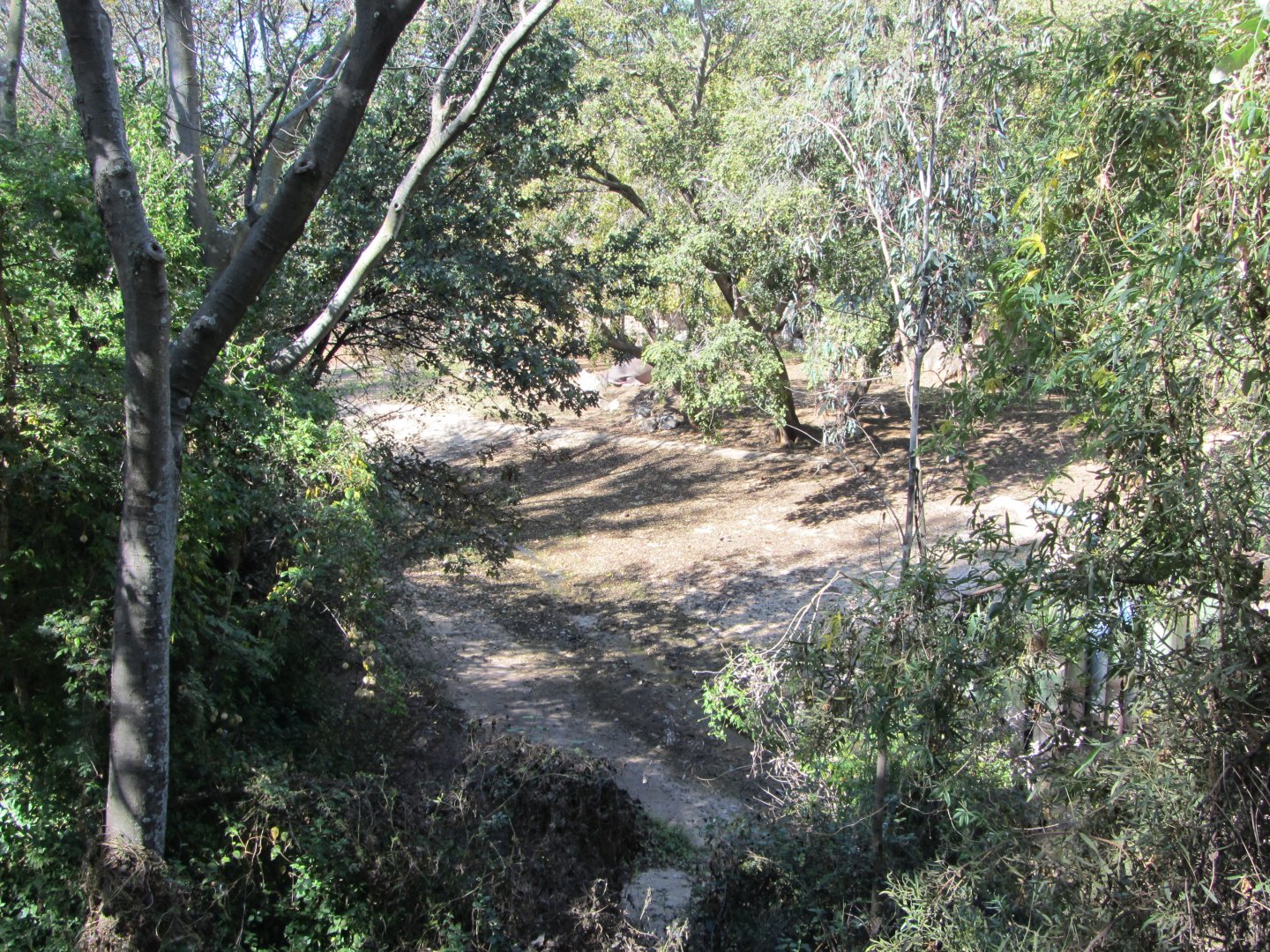 Rear View of Nile Hippopotamus Exhibit