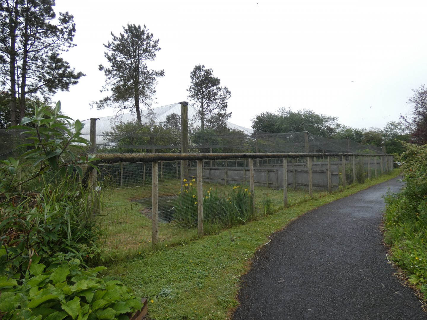 Rearing aviaries