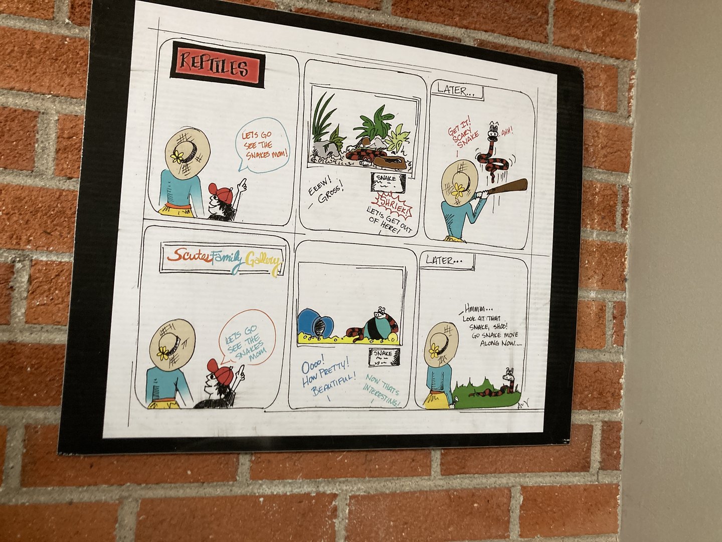 Reasoning for the Scute's Family Gallery