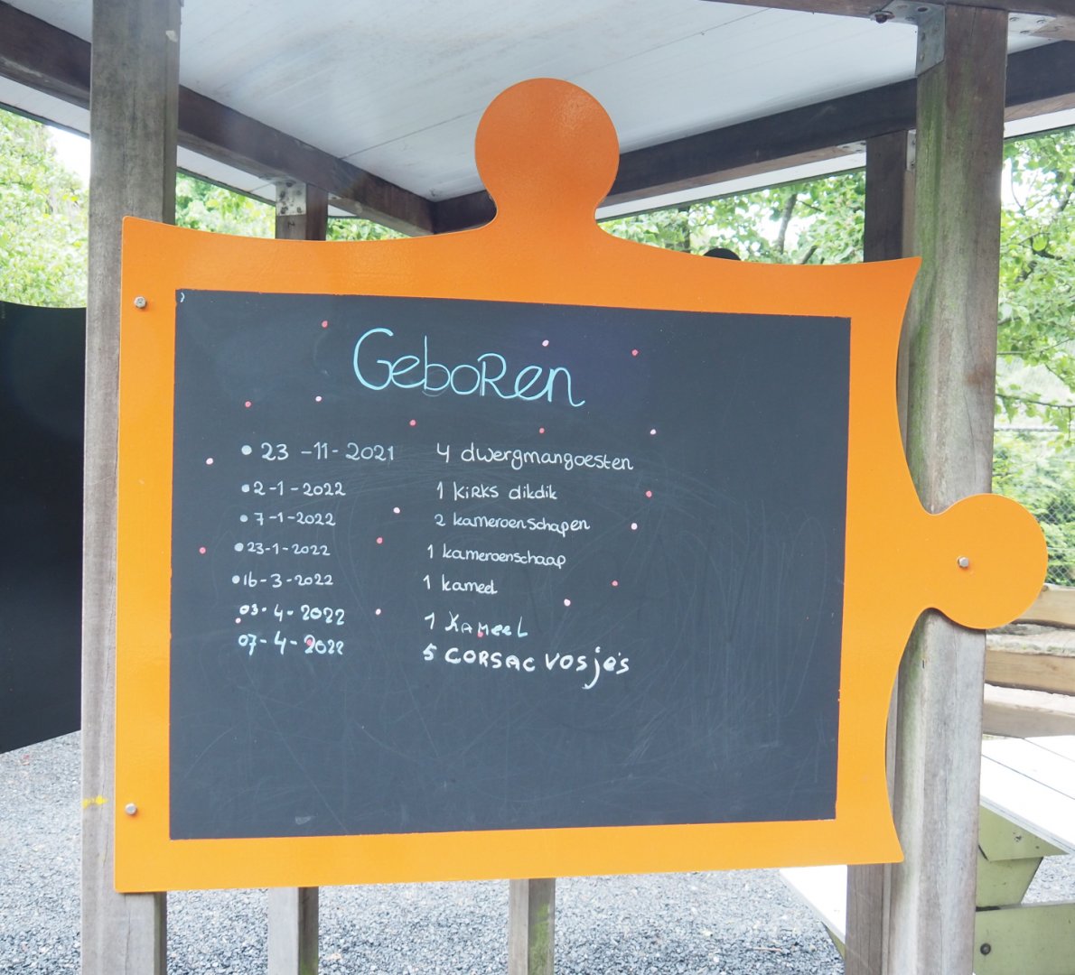 Recent birth signs, 2022-05-17