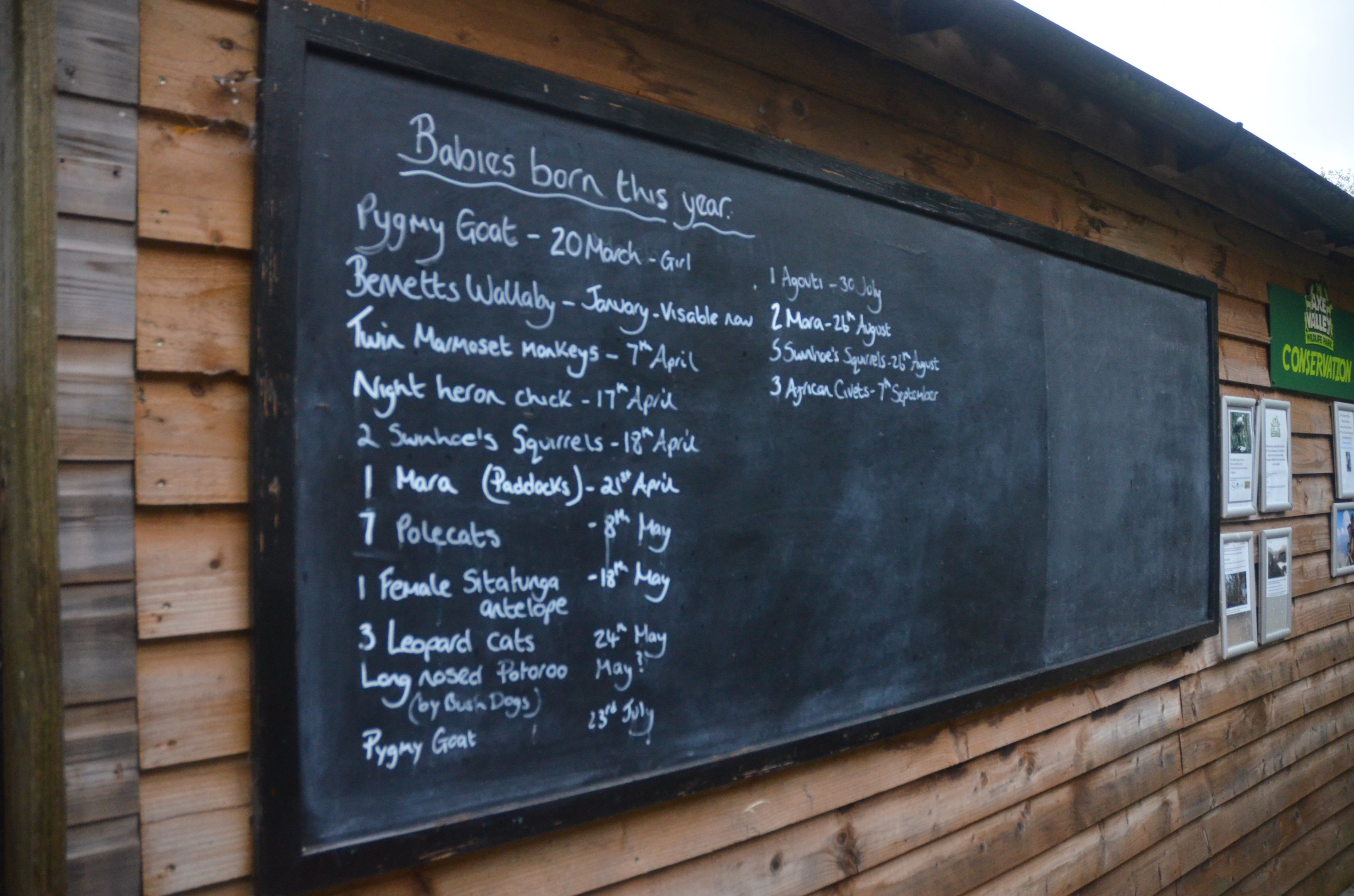 Recent Births at Axe Valley, 02/11/19