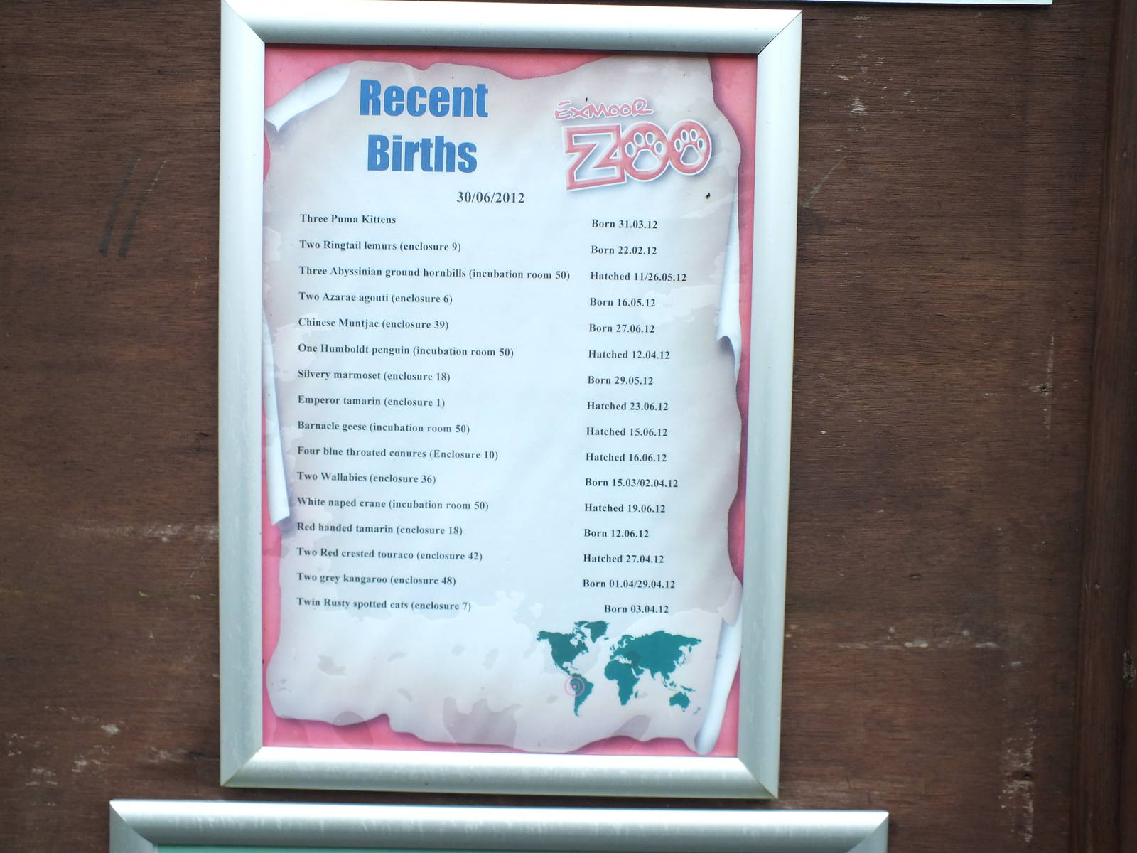 Recent Births Board at Exmoor Zoo - January 28th 2013