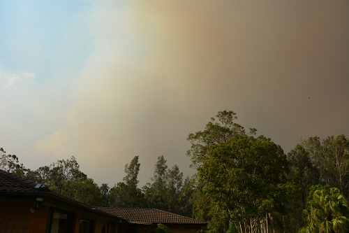 Recent bushfires.