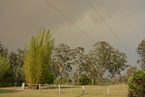 Recent bushfires.