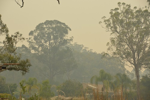 Recent bushfires.