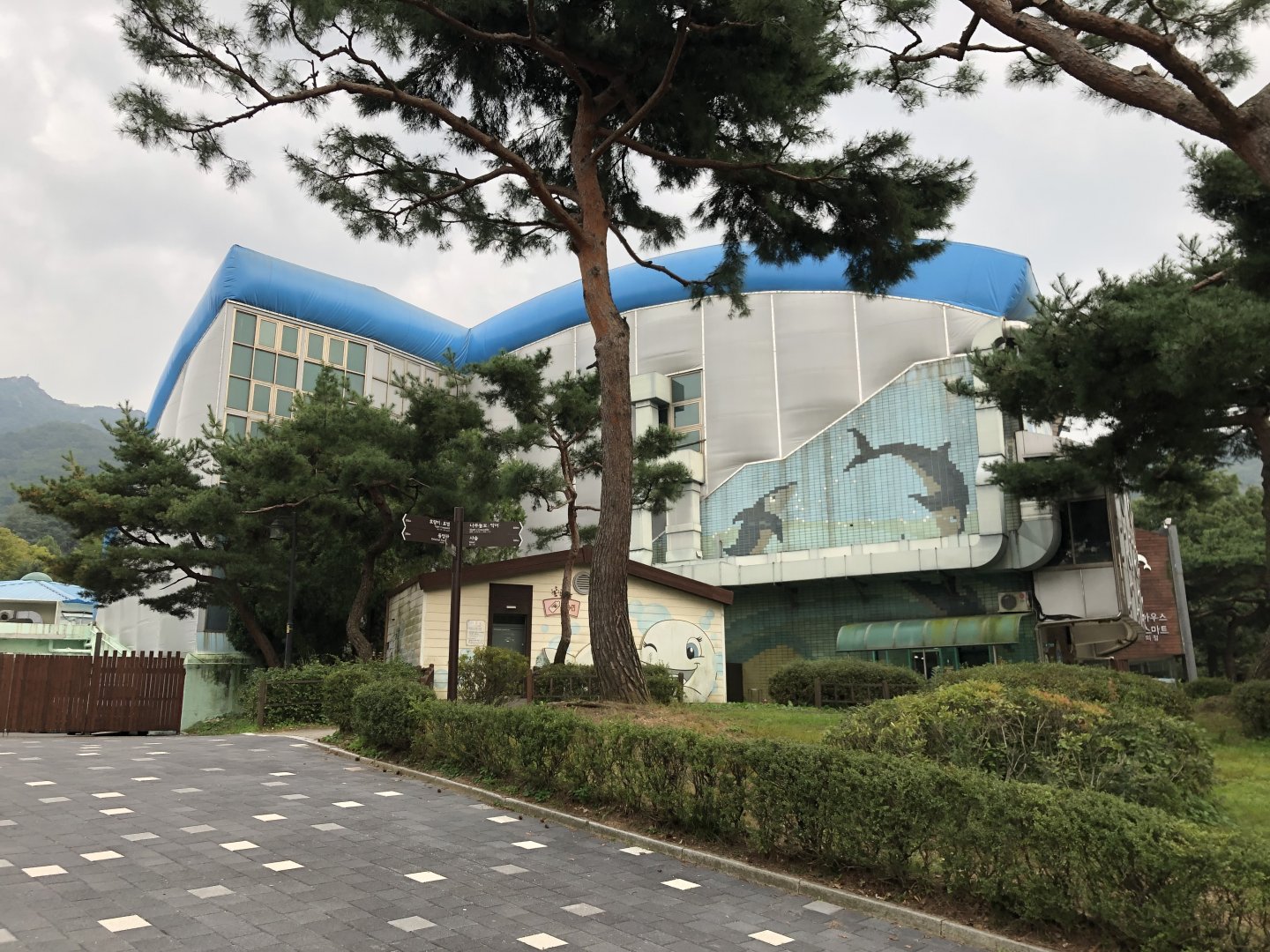 Recently closed Dolphinarium