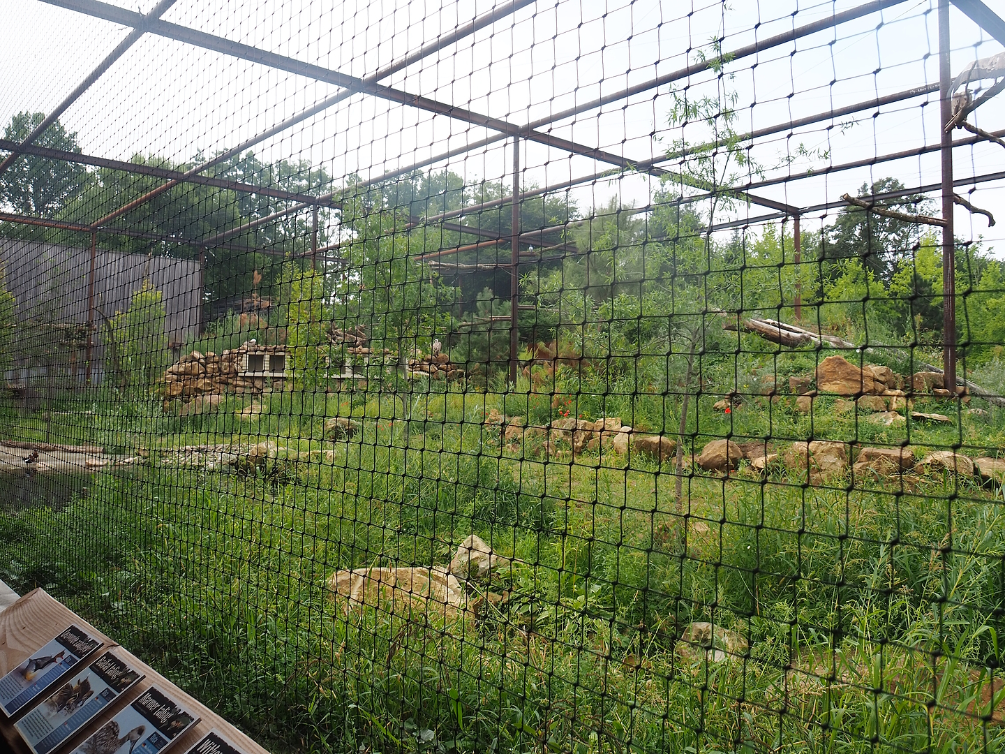 Reconstructed Taiga aviary, 2022-08-20