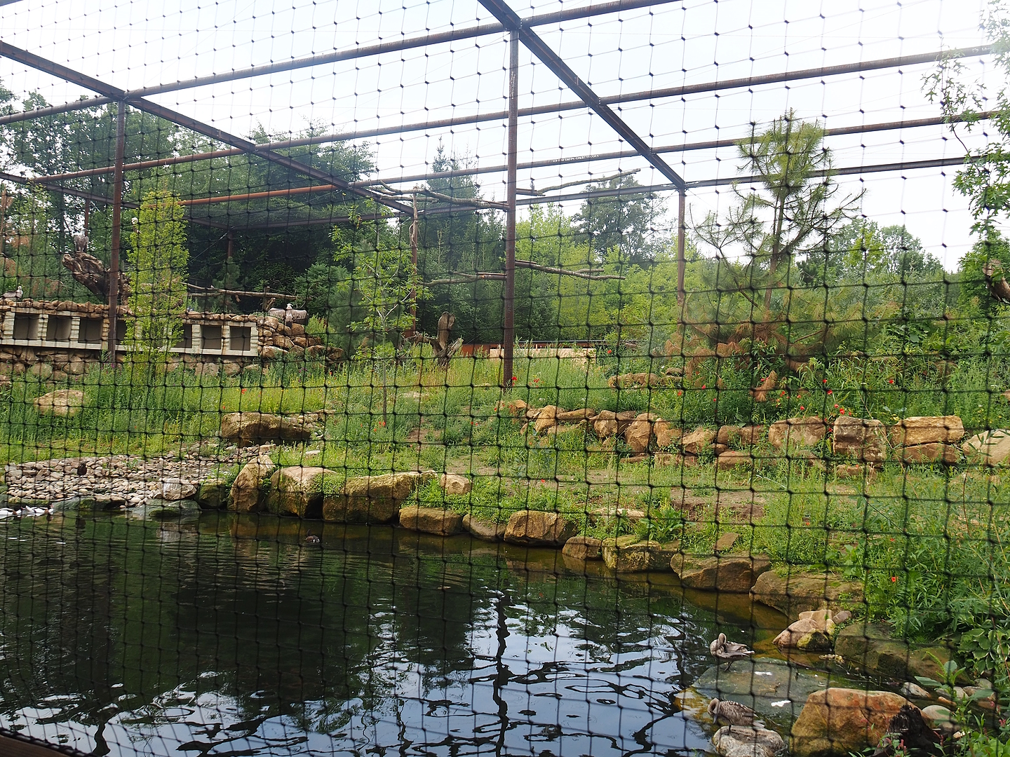 Reconstructed Taiga aviary, 2022-08-20