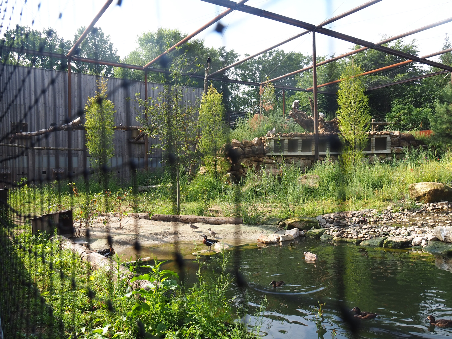 Reconstructed Taiga aviary, 2022-08-20