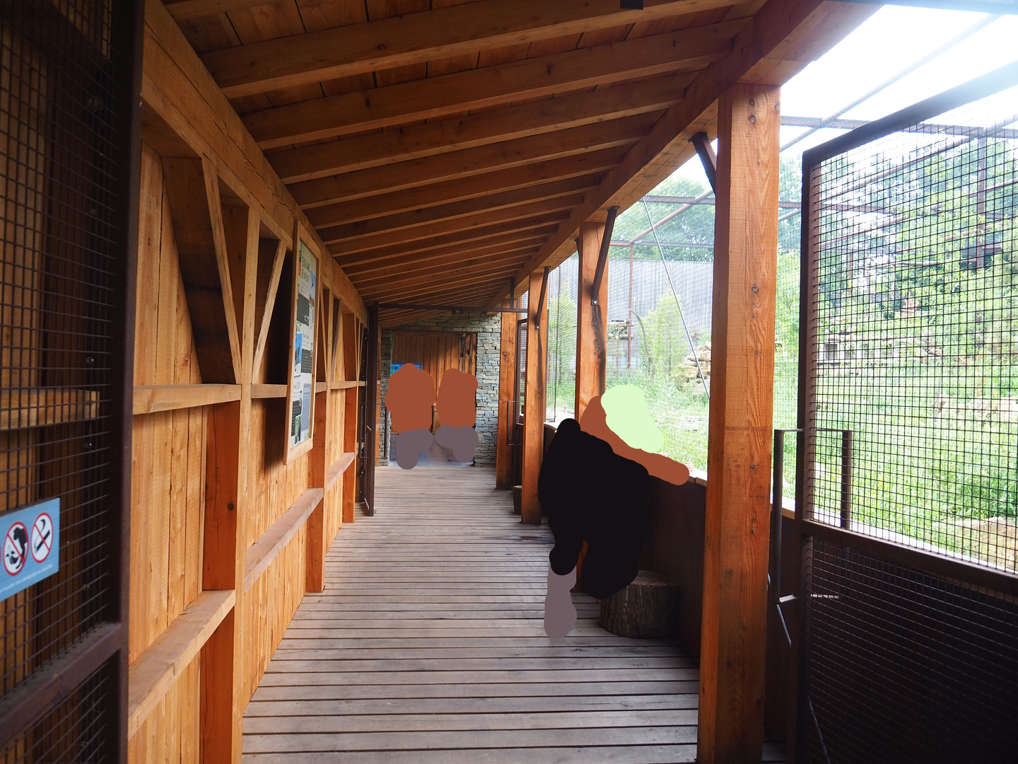 Reconstructed Taiga aviary - Interior of main viewing shelter, 2022-08-20