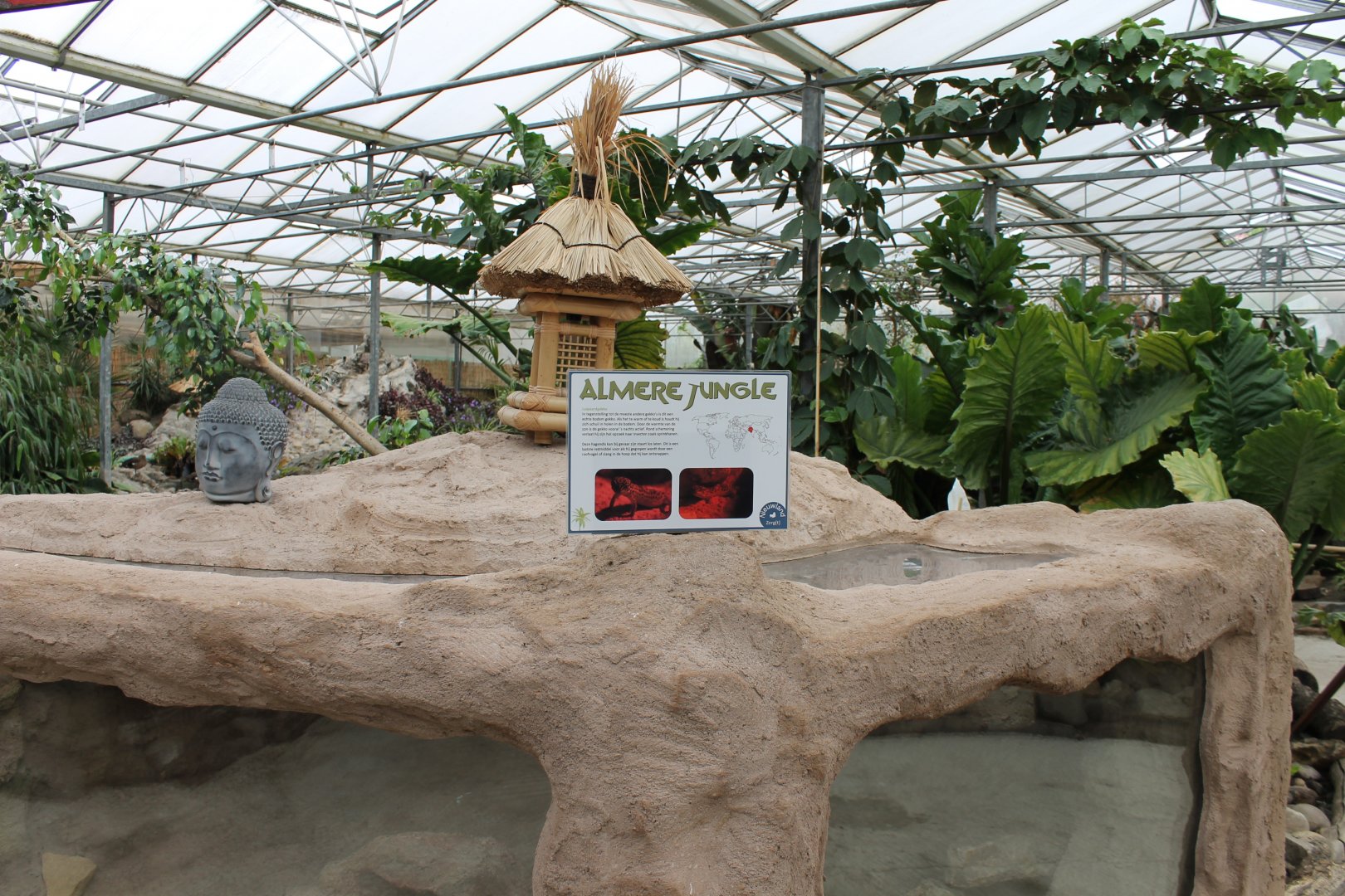 Reconstruction Leopard gecko enclosure