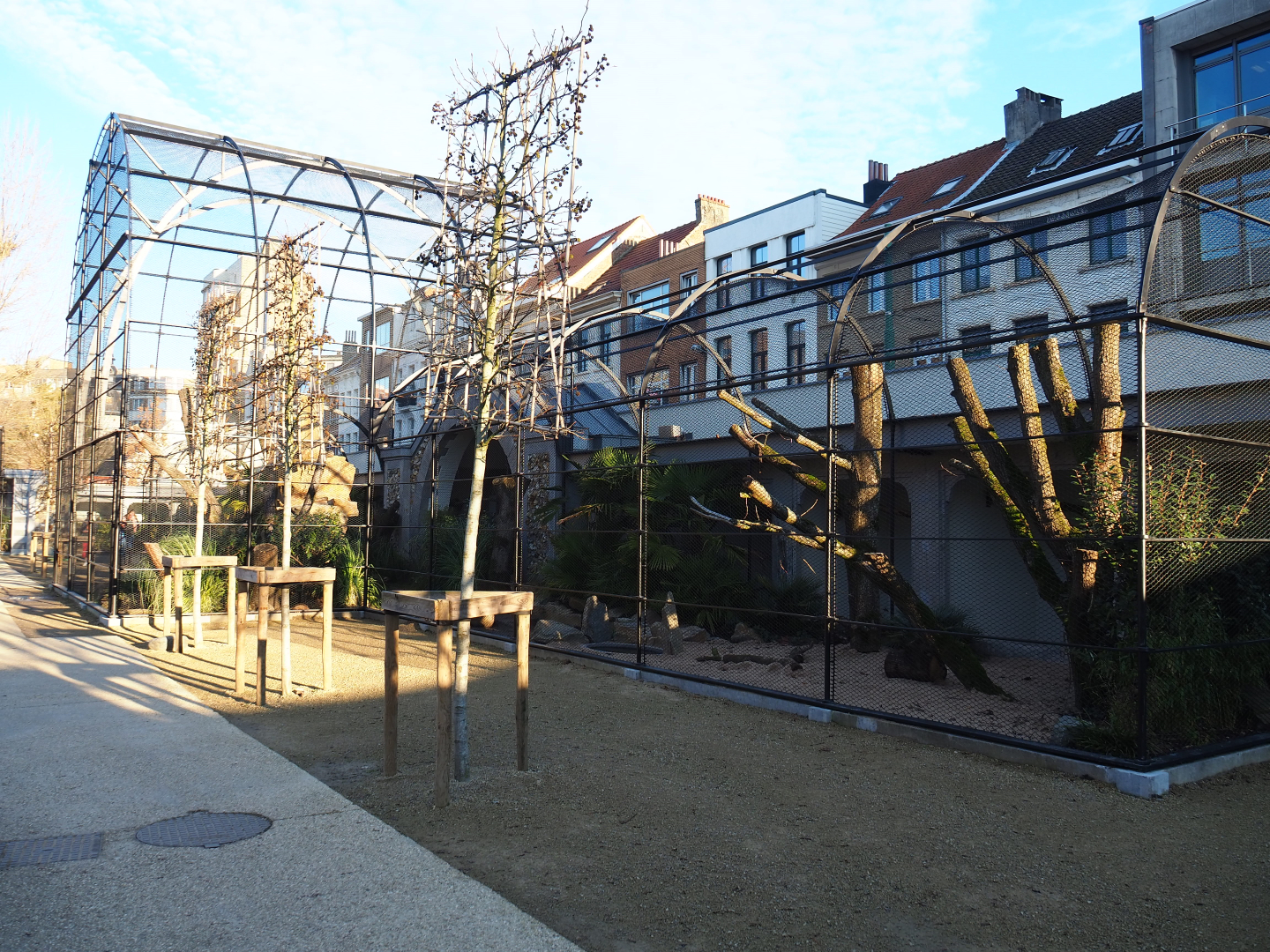 Reconstruction of 1856 bird-of-prey aviaries as parrot aviaries - Seemingly finally finished, 2019-12-30