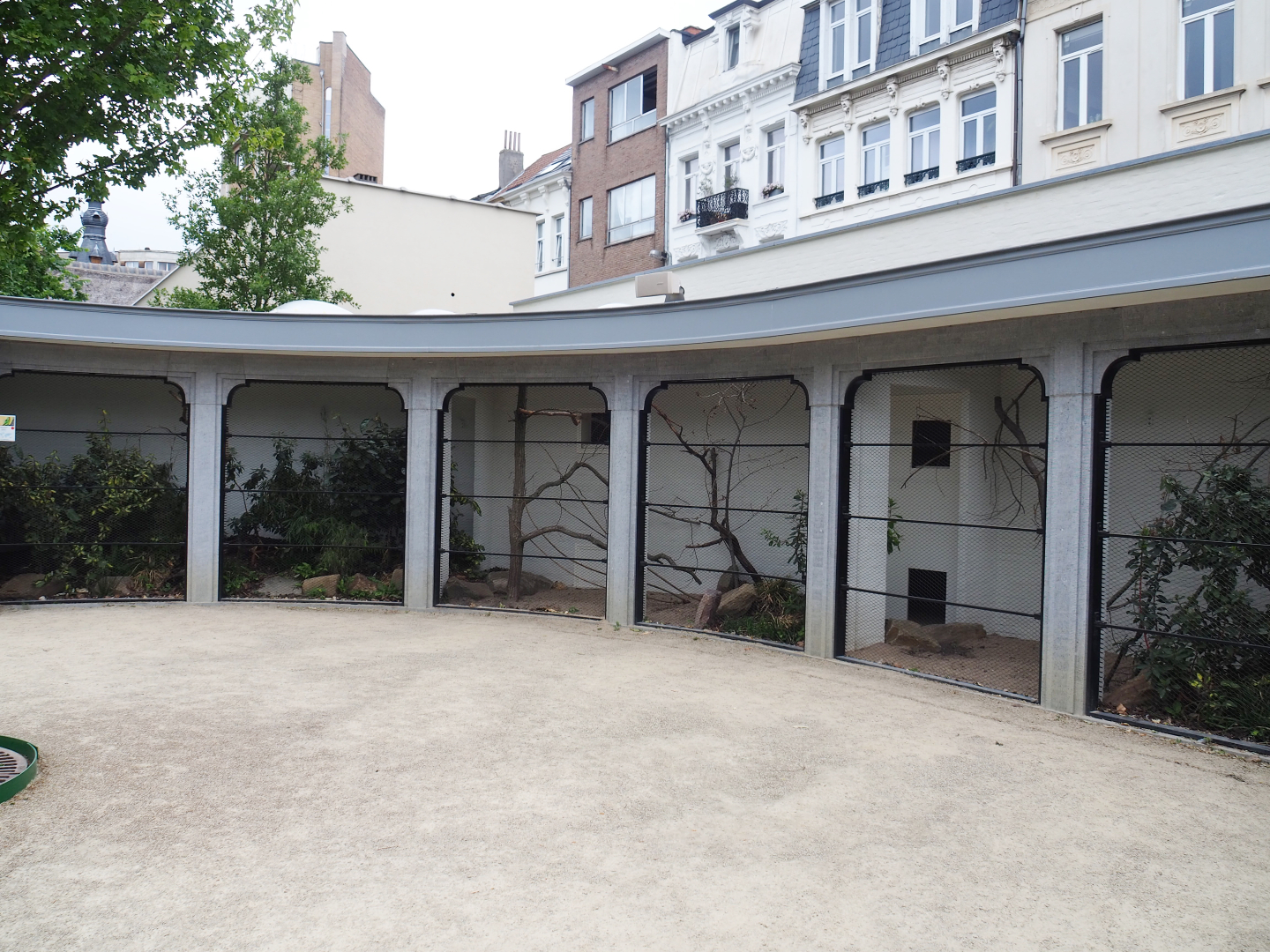 Reconstruction of 1856 raptor aviaries as parrot aviaries - Aviary Swift parrot, 2020-05-24