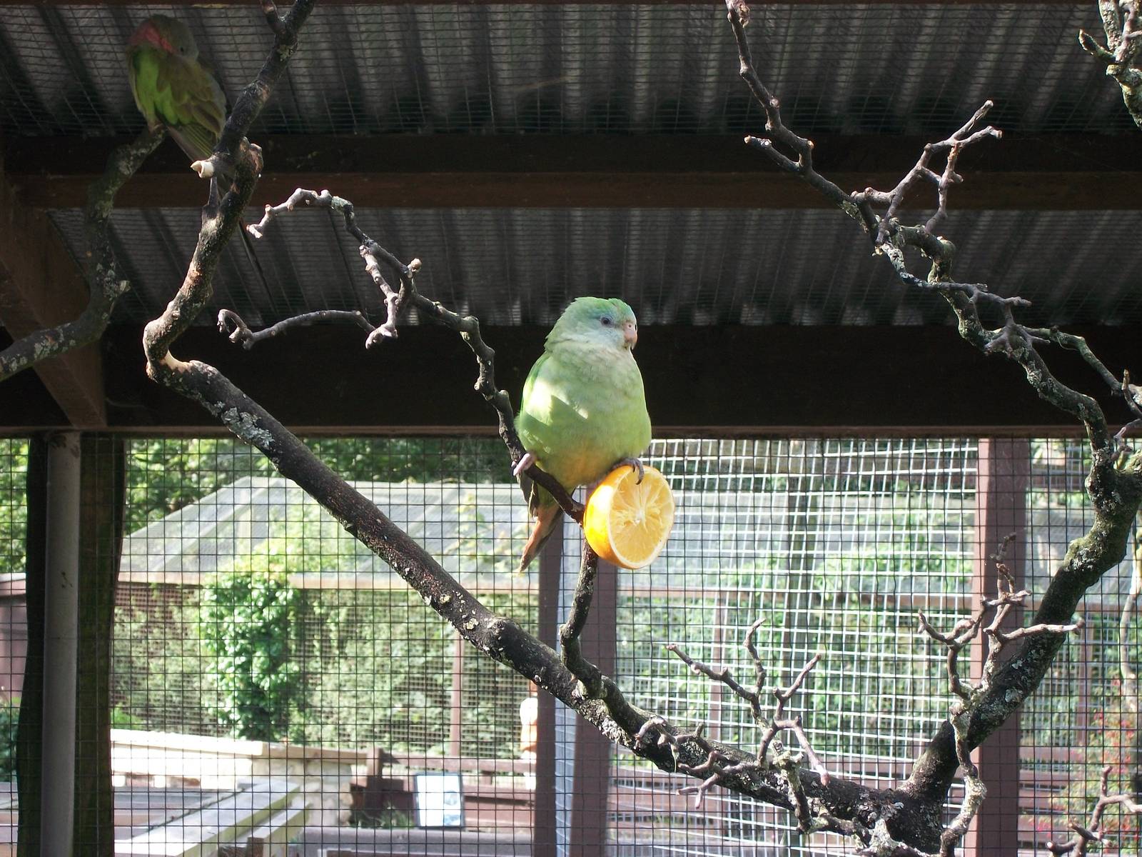 Recreating another classic British television advertisement, 3rd August 201