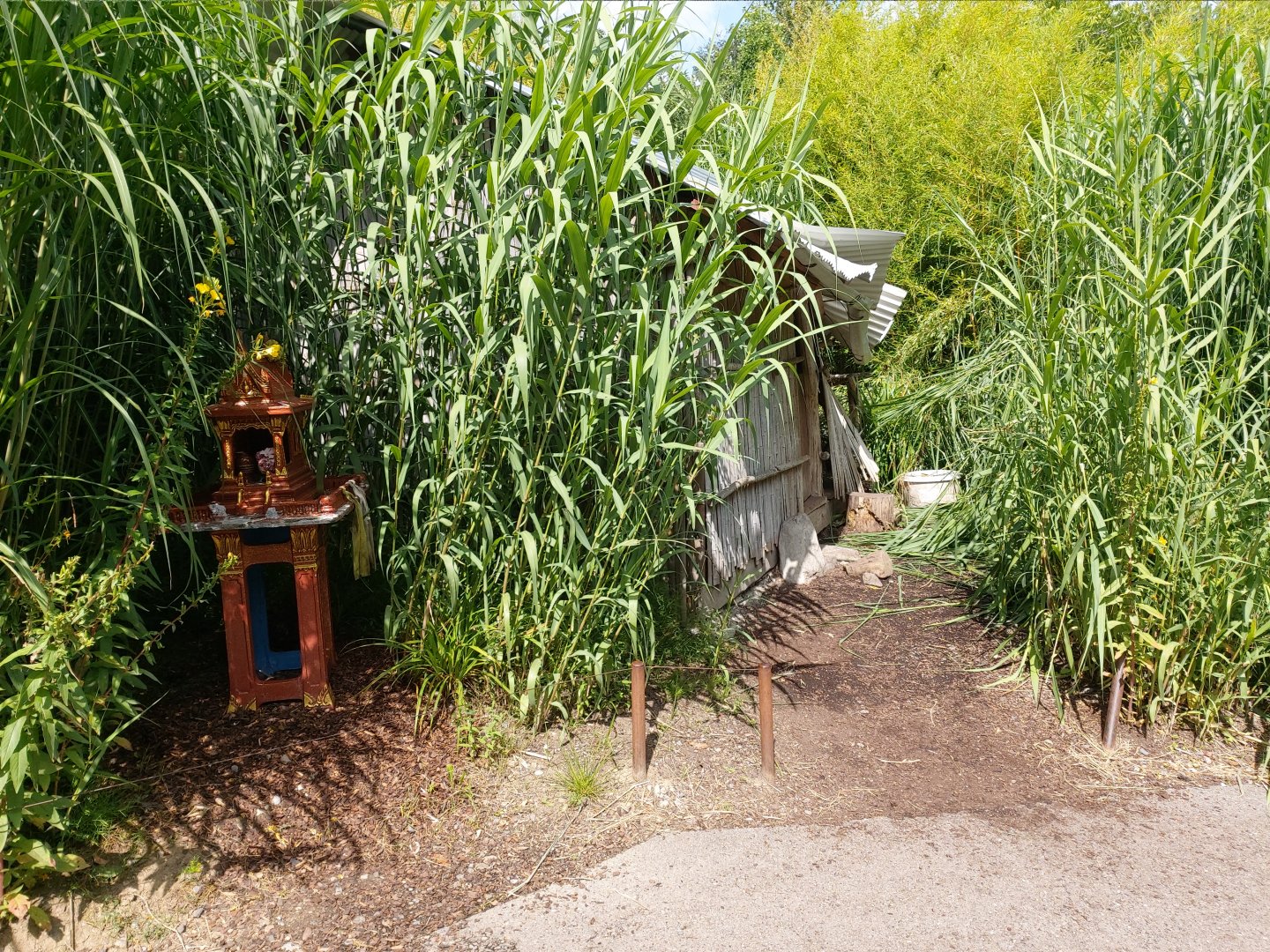 Recreation of a destroyed thai house to show the conflict between elephants and humans (July 2020)